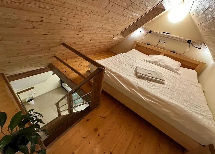 宾兹美女樱旅馆 3* Přední Výtoň