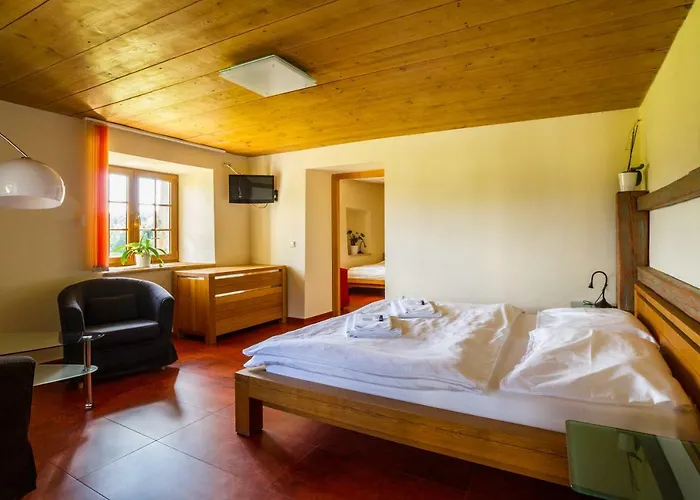 宾兹美女樱旅馆 3* Přední Výtoň